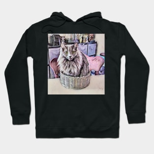 Grey Green Eyed Cat In Basket Hoodie